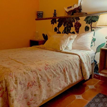 Pozzito Boutique Bed & Breakfast San Miguel de Allende Eksteriør bilde