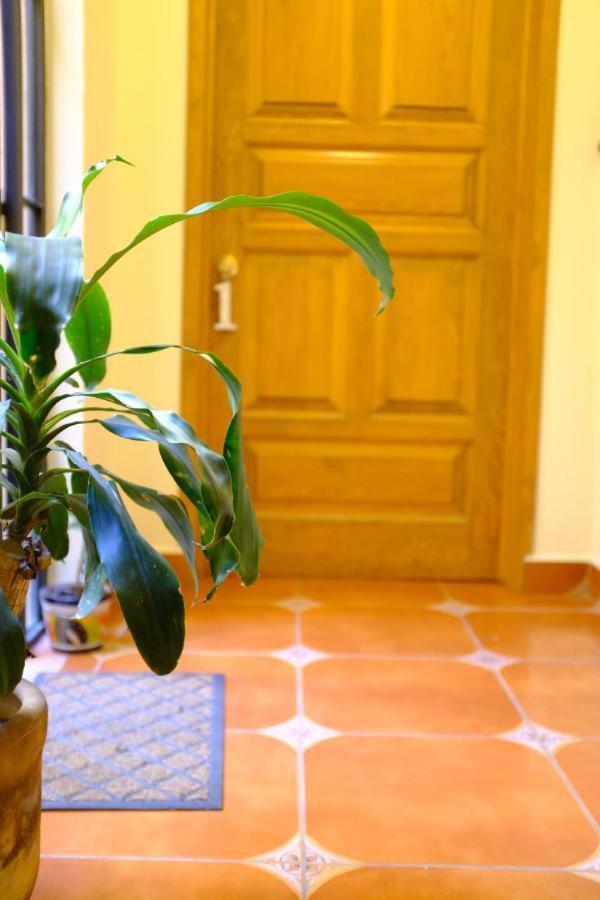 Pozzito Boutique Bed & Breakfast San Miguel de Allende Eksteriør bilde