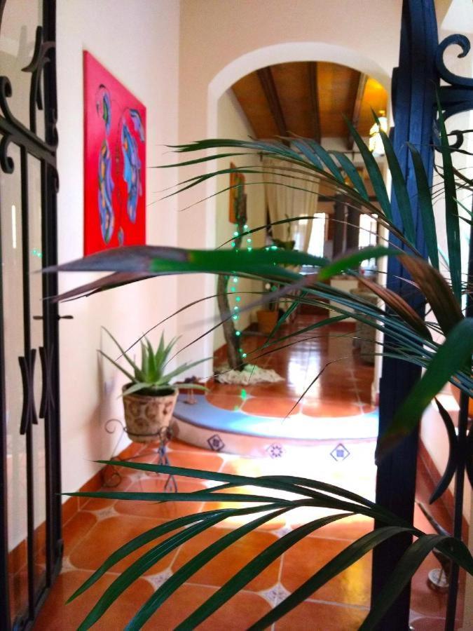 Pozzito Boutique Bed & Breakfast San Miguel de Allende Eksteriør bilde